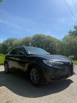 Alfa stevio