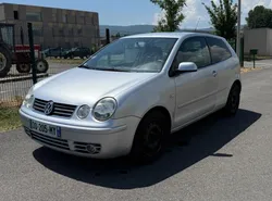 Volkswagen Polo 1.9 Tdi 130 Bv6
