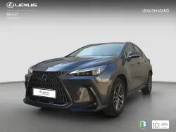 LEXUS NX 350h Business 2WD