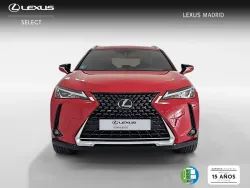 LEXUS UX 250h Business 4WD