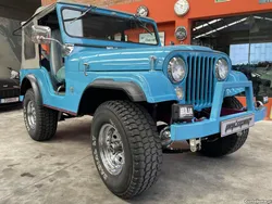 Jeep CJ-5 V6 tuxedo park