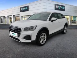 AUDI Q2 30 TFSI 110 BVM6 Business Executive