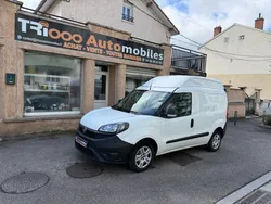 Fiat Doblo Cargo XL Pro Lounge Fourgonnette 1.6 Multijet 105 cv