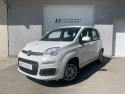 Fiat Panda 1.2 69 Cv Easy