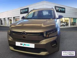 Citroën C3 e- 113 ch Plus