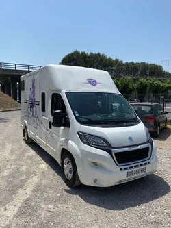 Camion porte chevaux 2 chevaux boxer 3l 175cv tbe