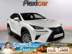 LEXUS NX 300h Business 2WD