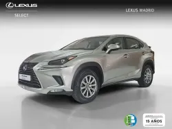 LEXUS NX 300h Business 2WD