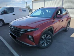 HYUNDAI TUCSON 1.6 CRDi 136 Hybrid 48V DCT-7 Business