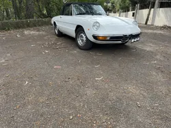 Alfa Romeo Spider 1300 Coda Tronca Júnior