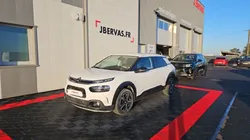 Citroën C4 CACTUS BUSINESS bluehdi 120 ss eat6 feel business
