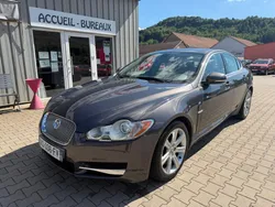 Jaguar XF 3.0 V6 D 211cv