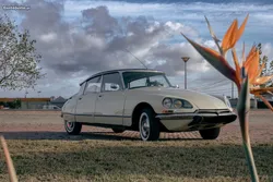 Citroën DS PALLAS 23