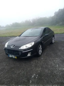 Peugeot 407 (407)