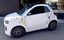 Microcar DUE INITIAL PROGRESS