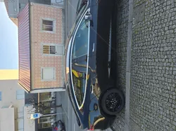 Tesla Model 3 STANDARD RANGER PLUS