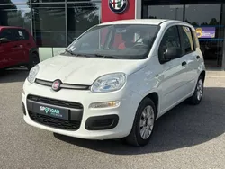 Fiat Panda 1.2 69 ch Pop
