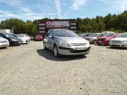 Peugeot 307 1.6 16V