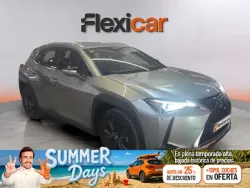 LEXUS UX 250h Business 4WD