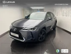 LEXUS UX 250h Business 2WD