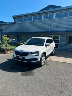 Skoda karoq dsg ethanol