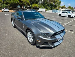 Ford Mustang V6 Pony