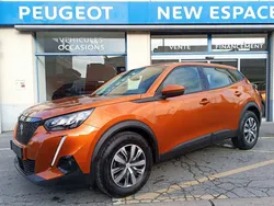 Peugeot 2008 (2) PureTech 100 ACTIVE BUSINESS