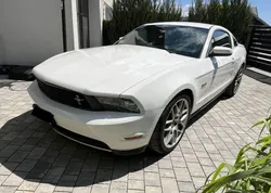 FORD Mustang GT Fastback 5.0 V8 Coyote