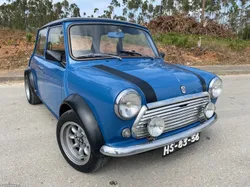 MINI 1000 A+