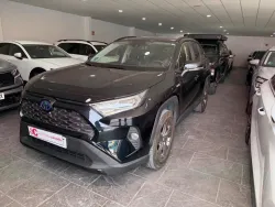 Toyota RAV 4 2.5 hybrid 2WD Luxury