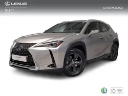 LEXUS UX 250h Business 4WD