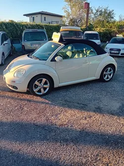 New beetle