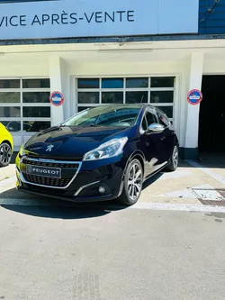Peugeot 208 feline