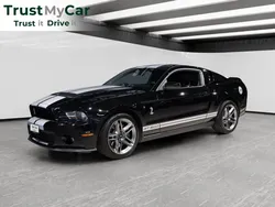 FORD Mustang V8 Shelby GT 500