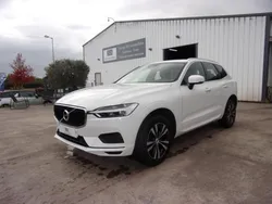Volvo XC60 BUSINESS D4 190 ch AdBlue Geatronic 8 Executive TVA récupérable