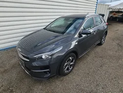 Kia x-ceed 1.6 l crdi 136 cv mhev bvm6 active xceed