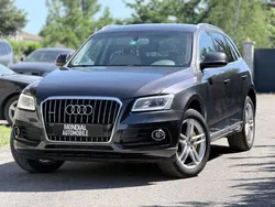 Audi Q5 3.0 TDI V6 245ch Quattro Avus S-Tronic
