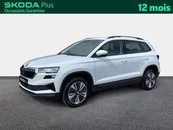 Skoda Karoq 2.0 TDI 116 ch SCR DSG7 Business