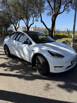 Tesla Model Y Long Range  Dual Motor