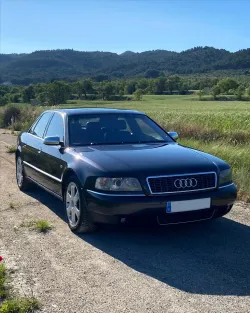 Audi S8 S8 D2 Quattro Tiptronic - Amethyst Perleffekt