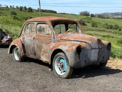 Renault  4cv Joaninha