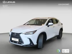 LEXUS NX 350h Executive+ 2WD
