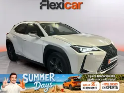LEXUS UX 250h Business 4WD