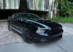 FORD Mustang GT California Special 5.0 V8
