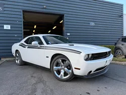 Dodge Challenger R/T 5.7 V8 BVA