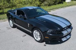 Ford Mustang V6 Pony