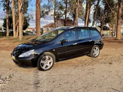 Peugeot 307 Sw