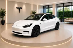 Tesla Model 3 Long Range AWD 79kwh Dual Motor (11/2021)