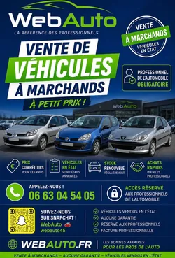 Citroën C3 C2 C4 C5 207 208 MEGANE CLIO ETC.. A MARCHANDS UNIQUEMENT DANS L'ETAT A PETIT PRIX