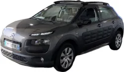 C4 Cactus FEEL BUISNESS 110